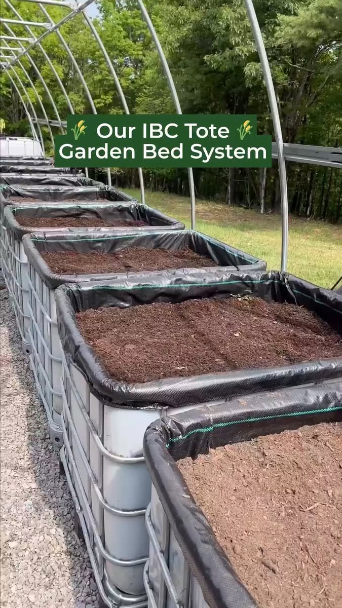Multi-bed system
